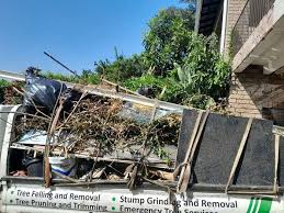 Best Residential Junk Removal in Diamond Springs, CA